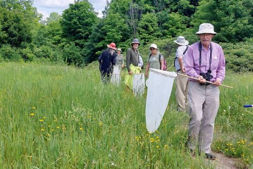 A wild bunch, the Kingston Field Naturalists hold annual Bioblitz in Battersea.